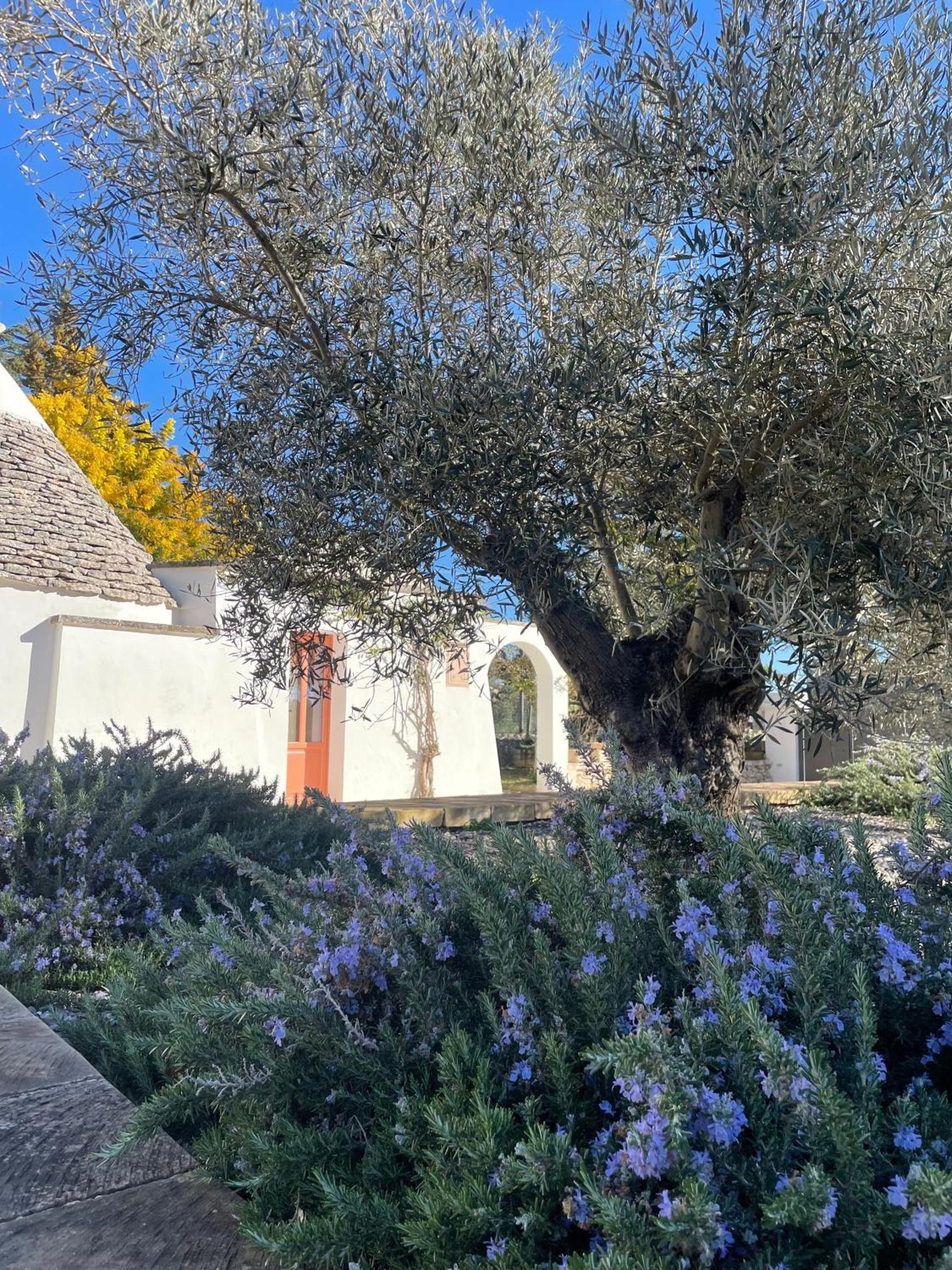 Trullo Panna Fragola - Exclusive Four Bedroom Villa & Private Pool Martina Franca Zewnętrze zdjęcie